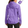 Taro Purple Taro Purple